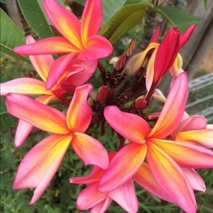 Meet your Posher, Esther